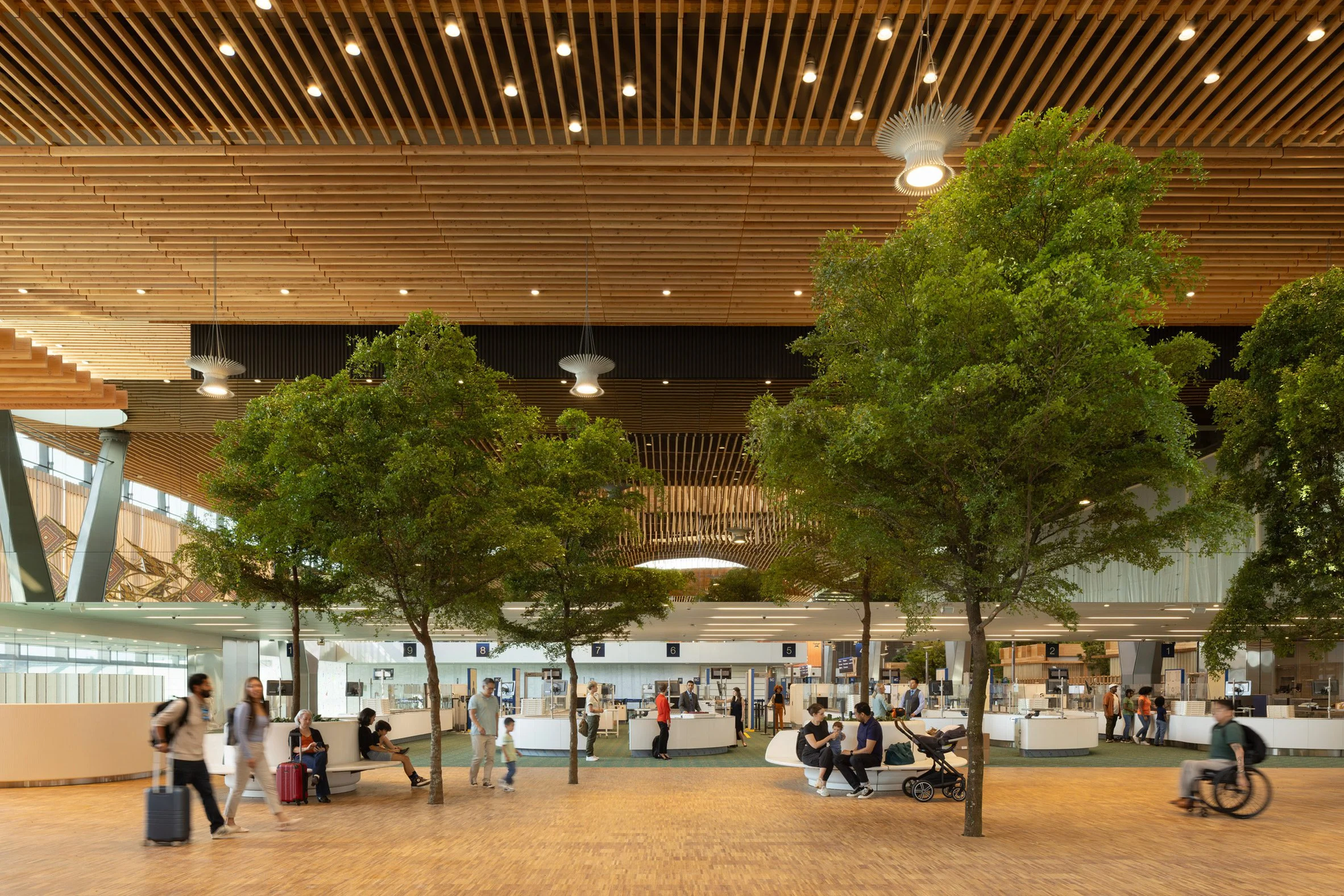 portland airport timber roof interior.png